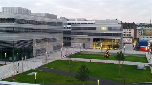 Weihnachtsbaum am Campus Derendorf